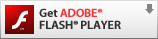 flashplayer.jpg